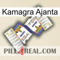 Kamagra Ajanta 12